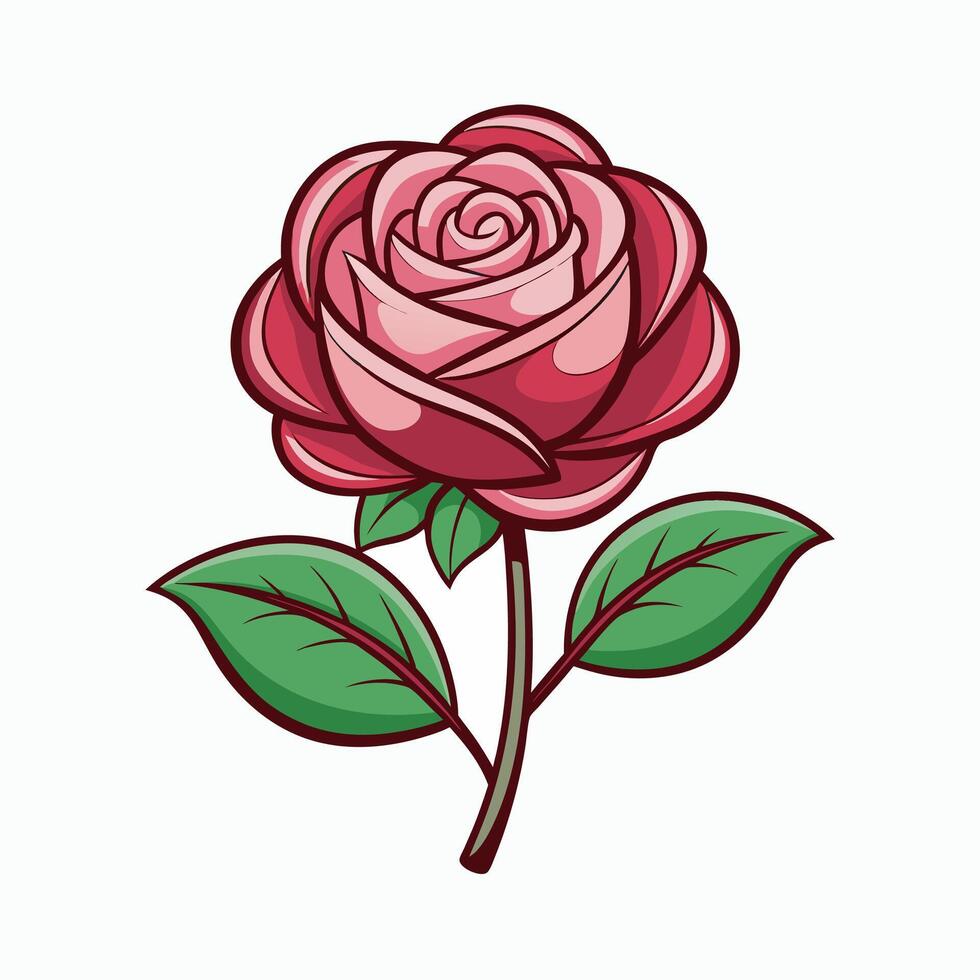 Rose flower on white background vector