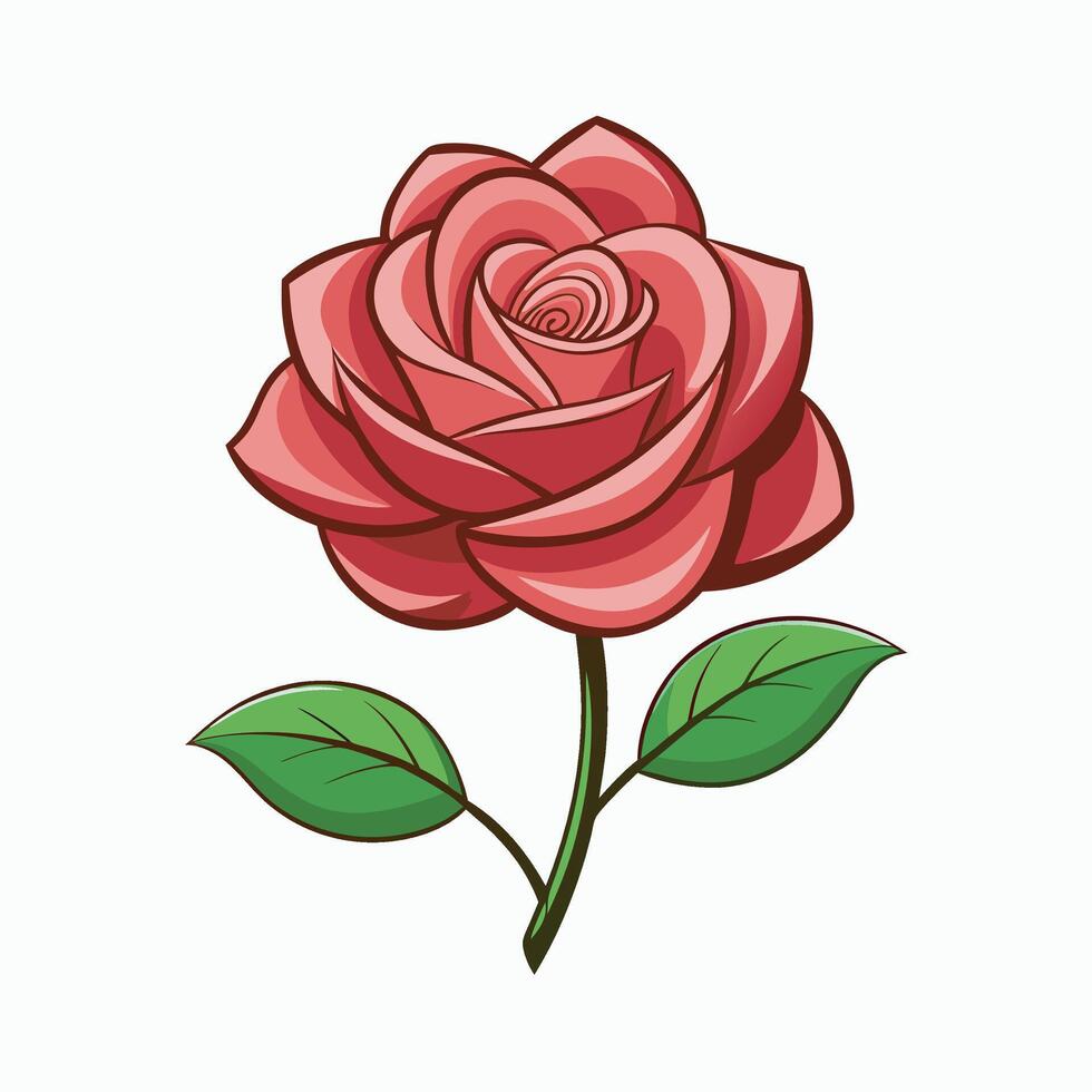 Rose flower on white background vector