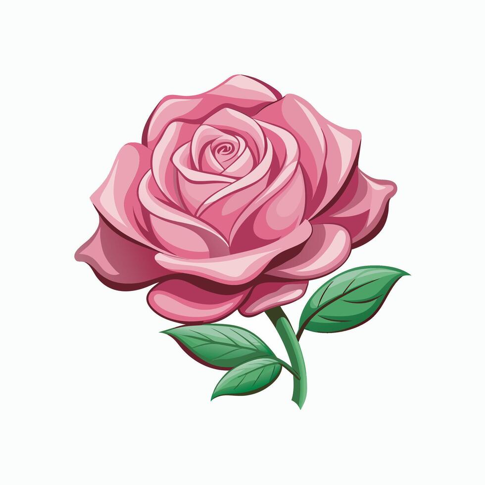 Rose flower on white background vector