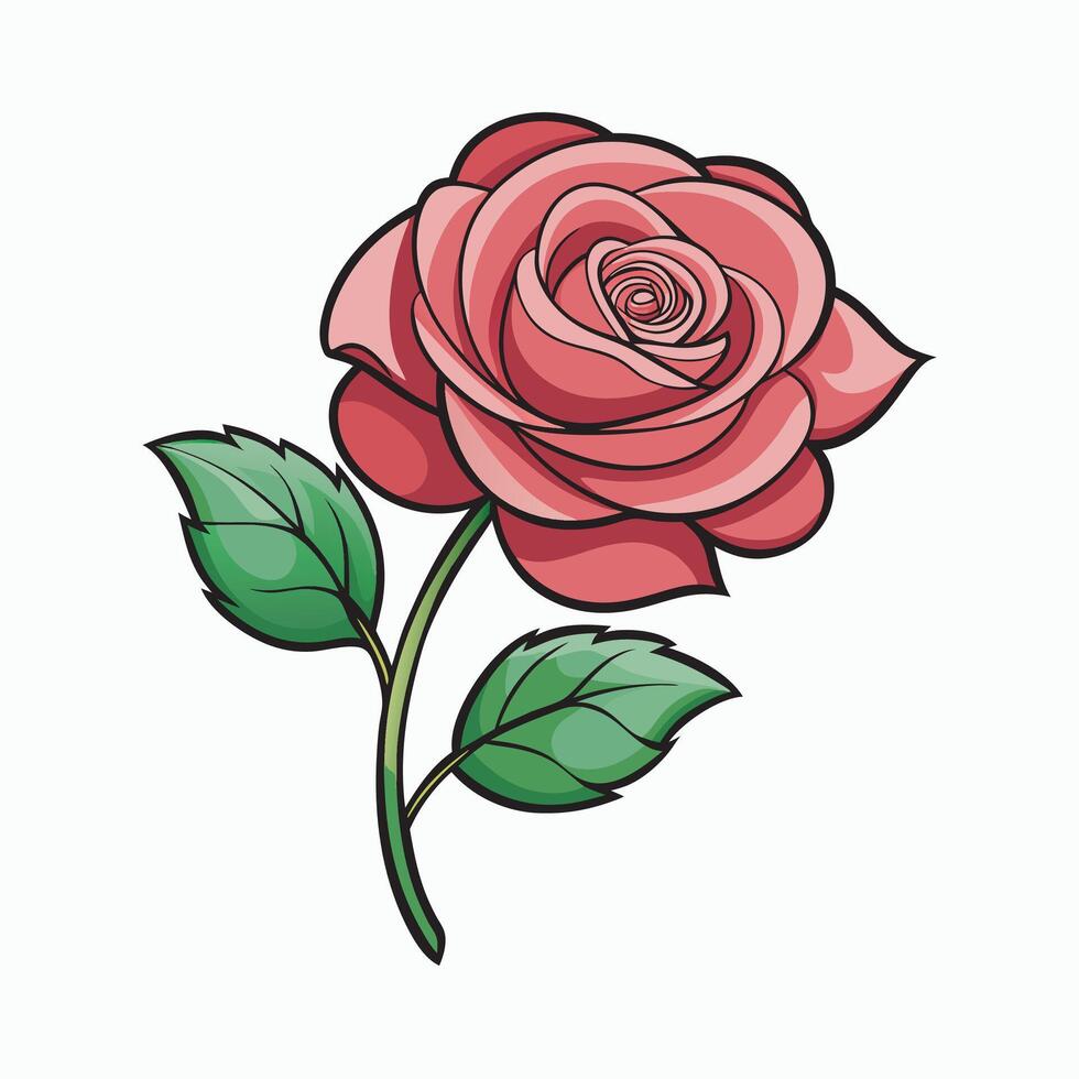 Rose flower on white background vector