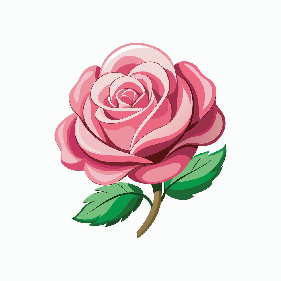 Rose flower on white background vector
