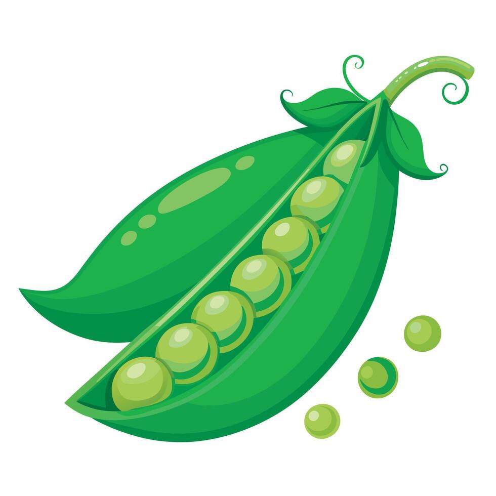 Realistic green peas on white background vector