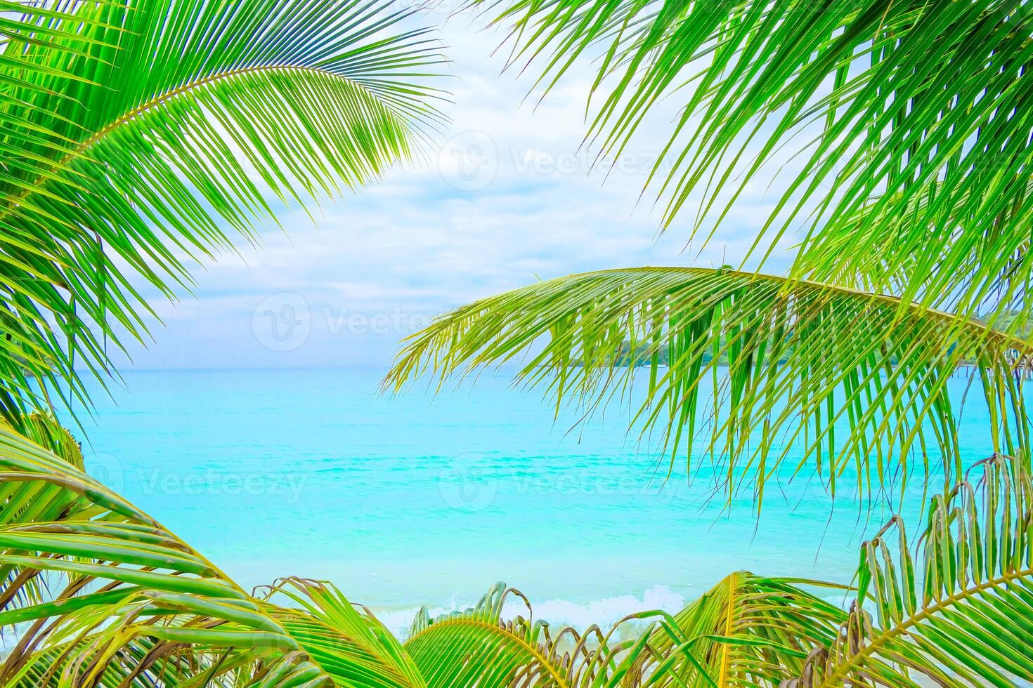 Frame of tropical green palm leaves on the sea beach background, Summer concept photo