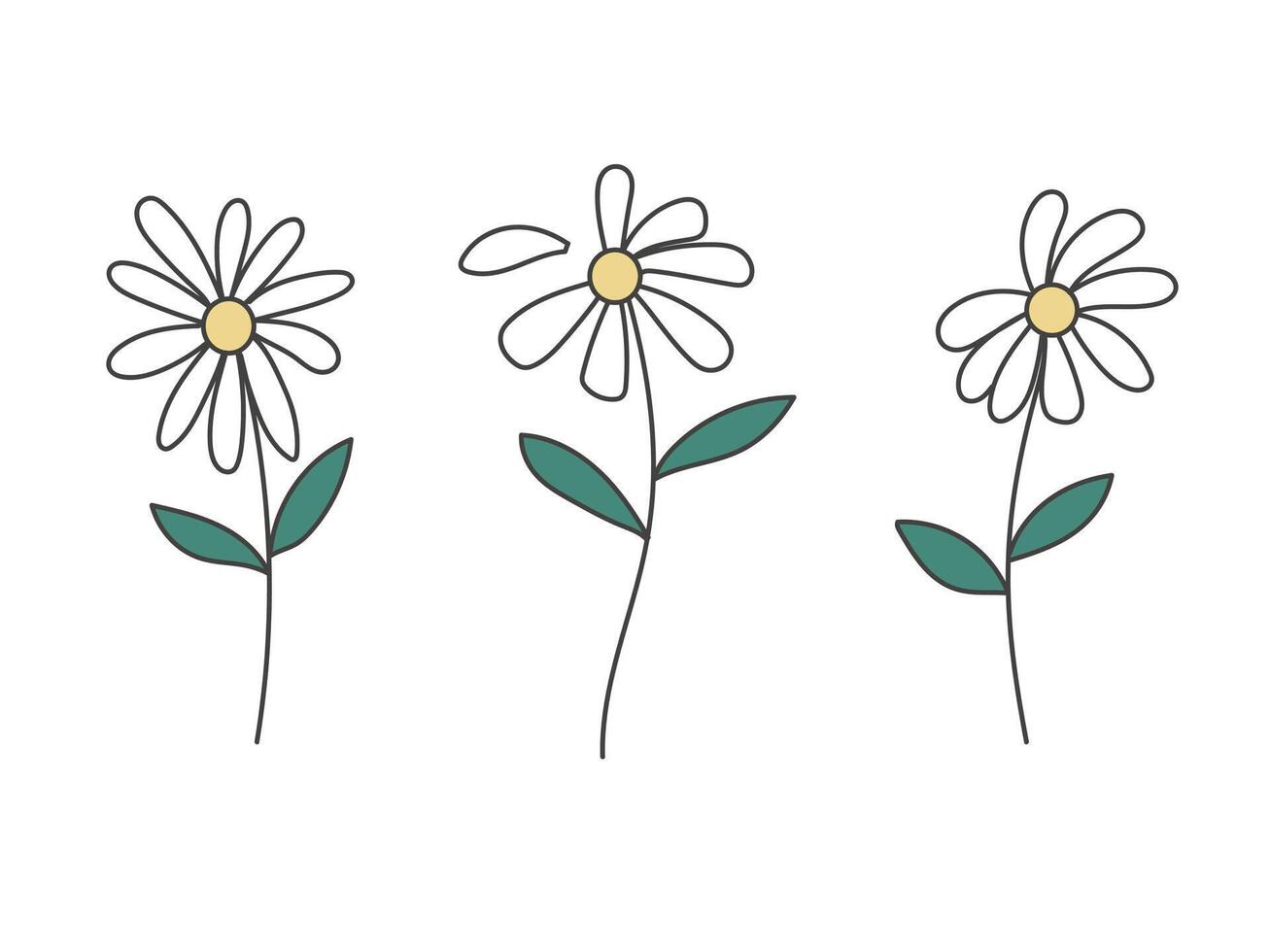 Daisy chamomile set. Cute flower plant illustration vector