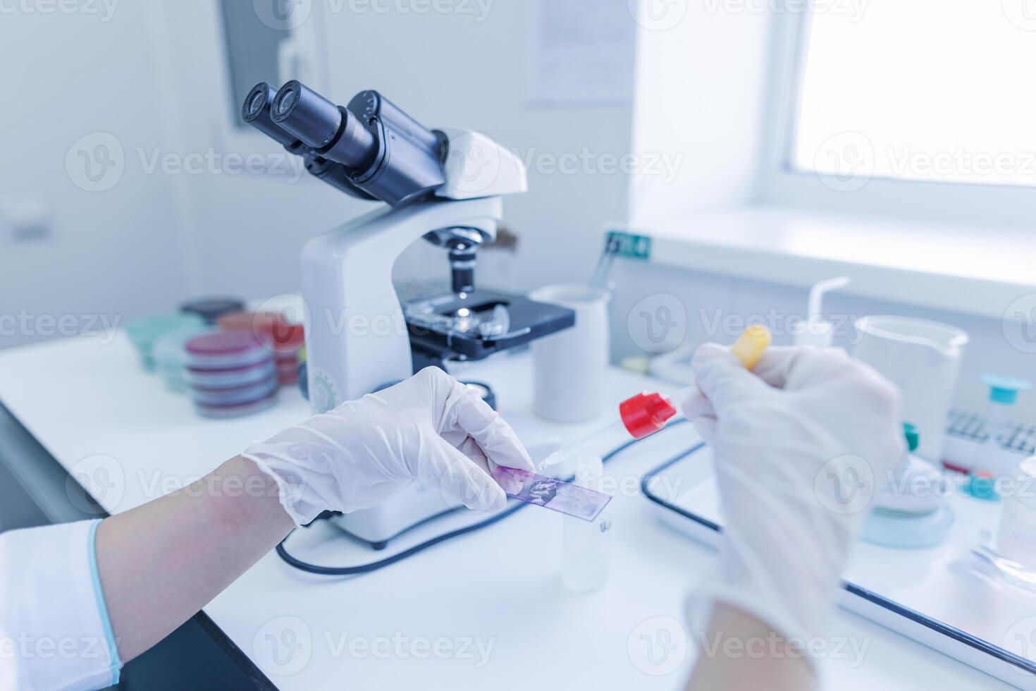female laboratory assistant conducts research, chemical analysis, analysis of bacteria photo