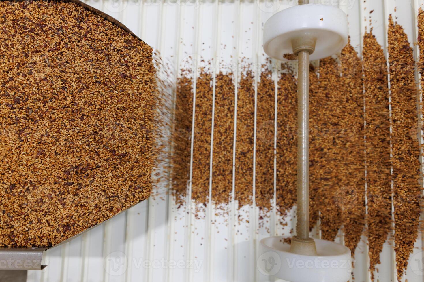 Grain sorting machine, Paddy machine sorts grains of one crop, separates grain peeling products photo