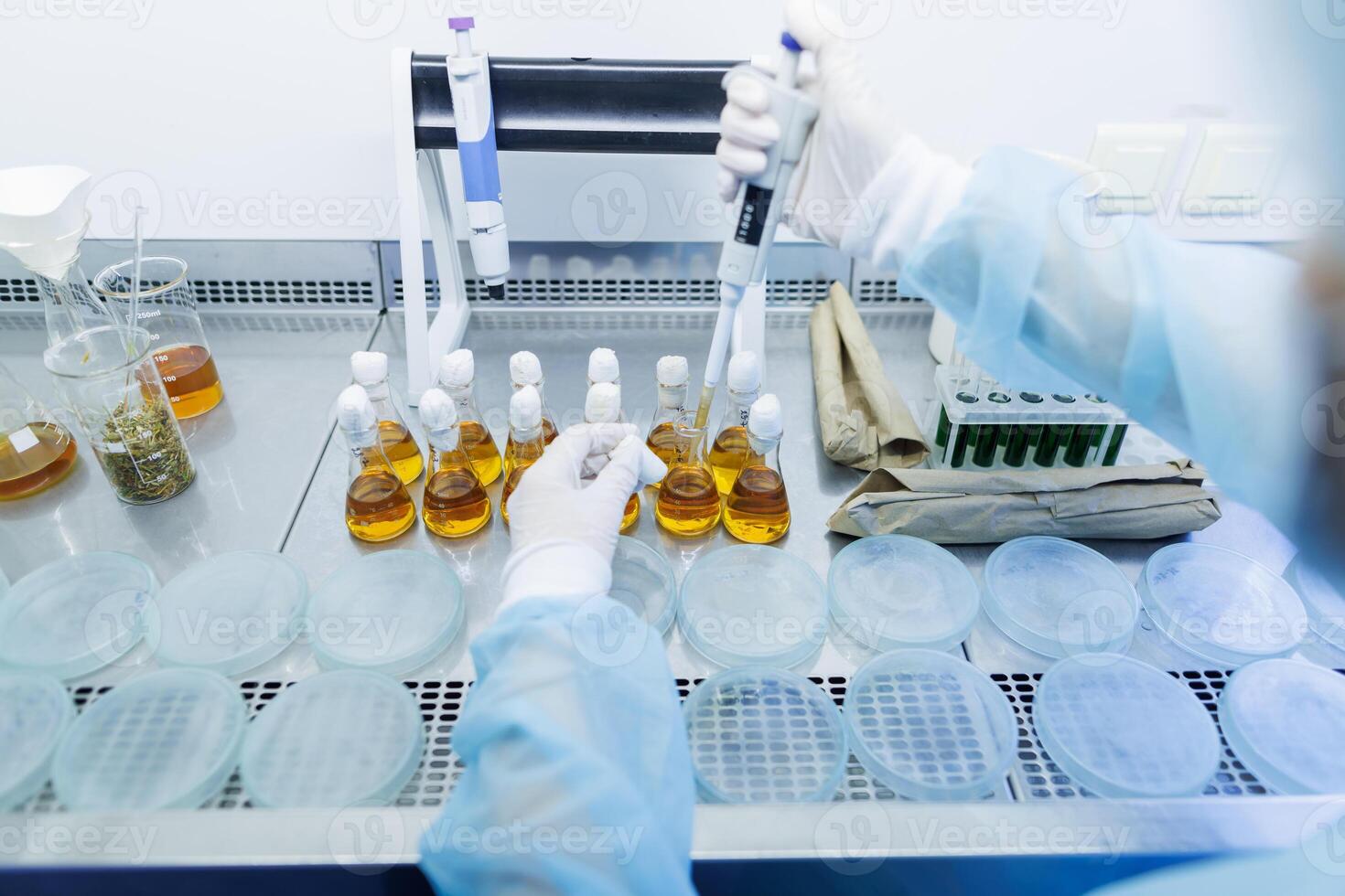 female laboratory assistant conducts research, chemical analysis, analysis of bacteria photo