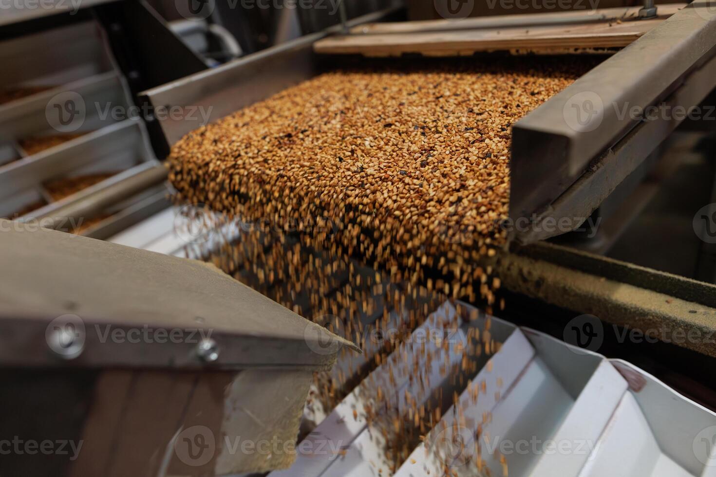 Grain sorting machine, Paddy machine sorts grains of one crop, separates grain peeling products photo