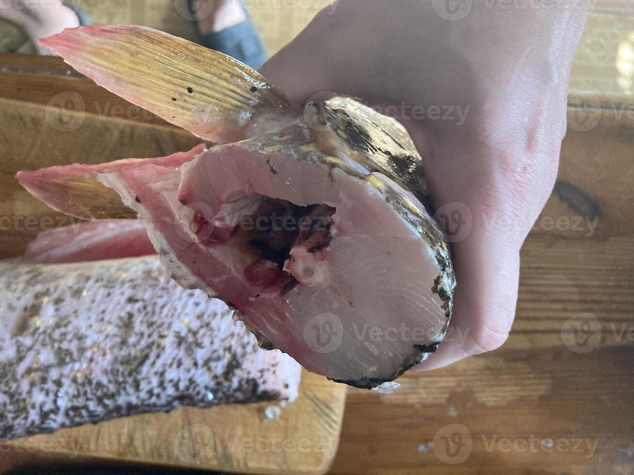 Cutting freshwater predatory fish pike photo