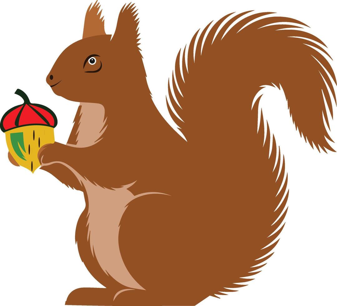 A Cartoon Of Squirrel holding an acorn in its paws vector