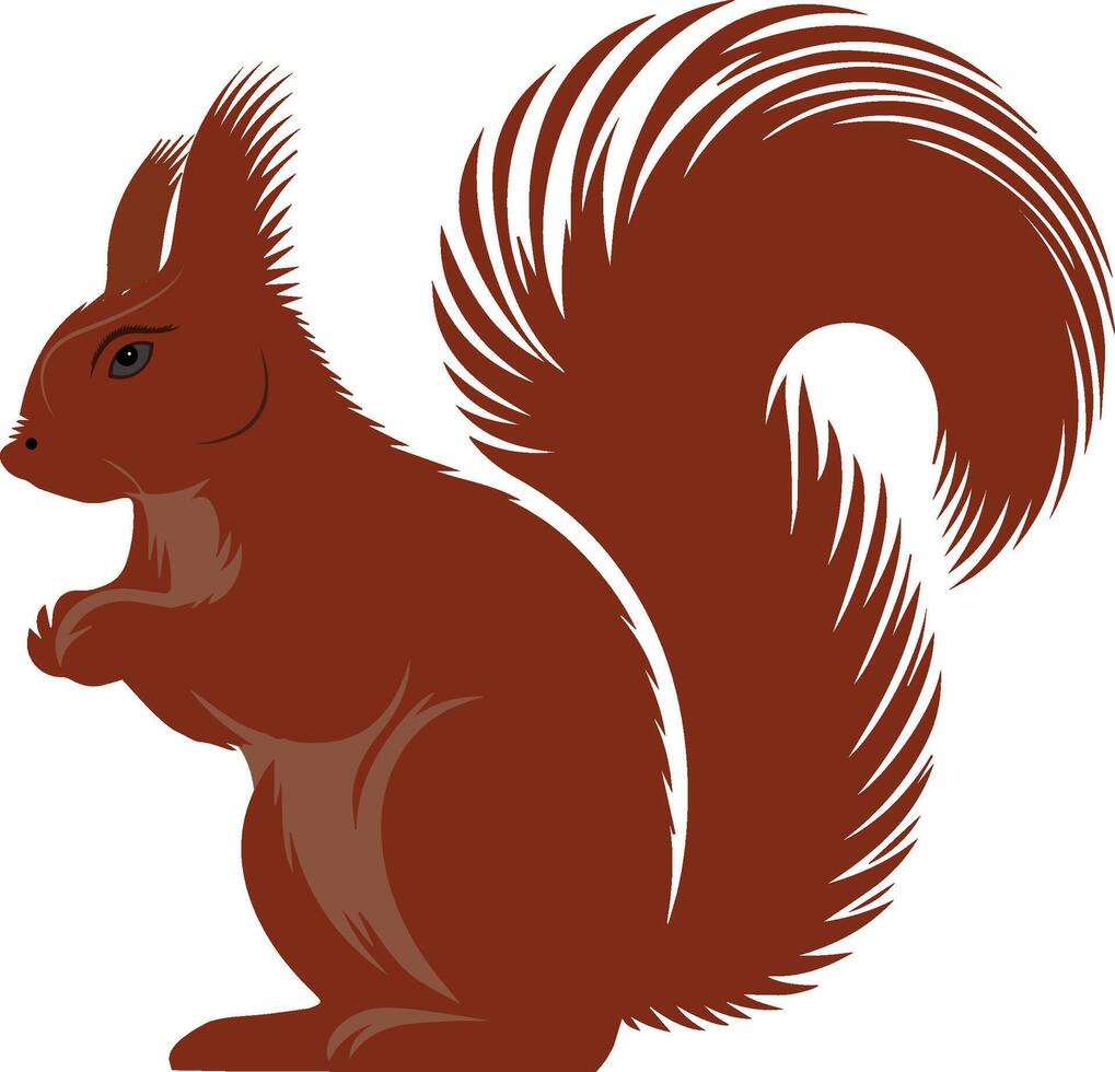 Cartoon Of Squirrel vector