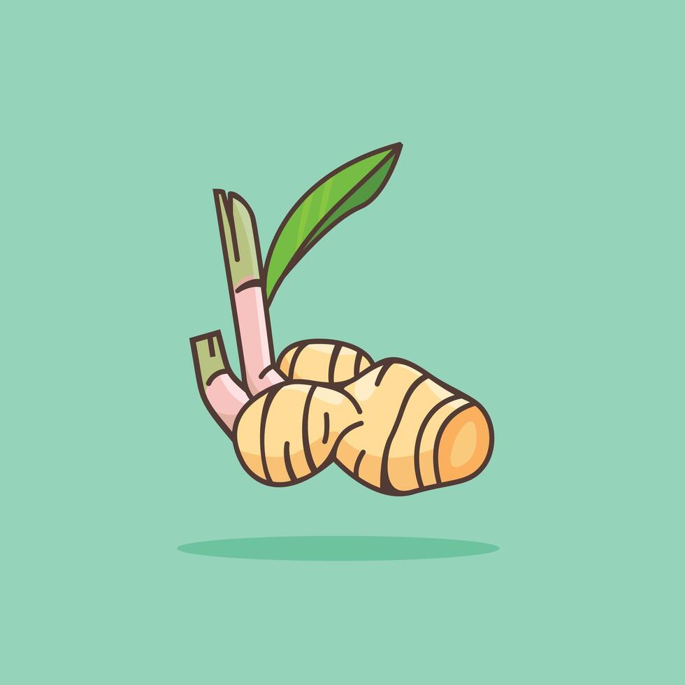 illustration of the galangal spice logo icon, galangal kitchen spice for the cooking industry vector