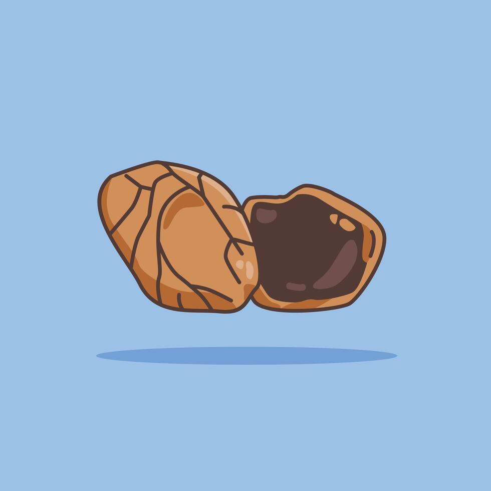 illustration of the kluwek spice logo icon, kluwek kitchen spice for the cooking industry vector