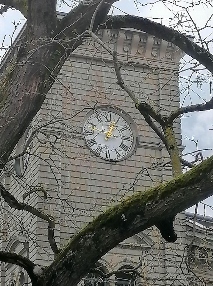 Scenic summer view of the Old Town architecture of Zurich photo