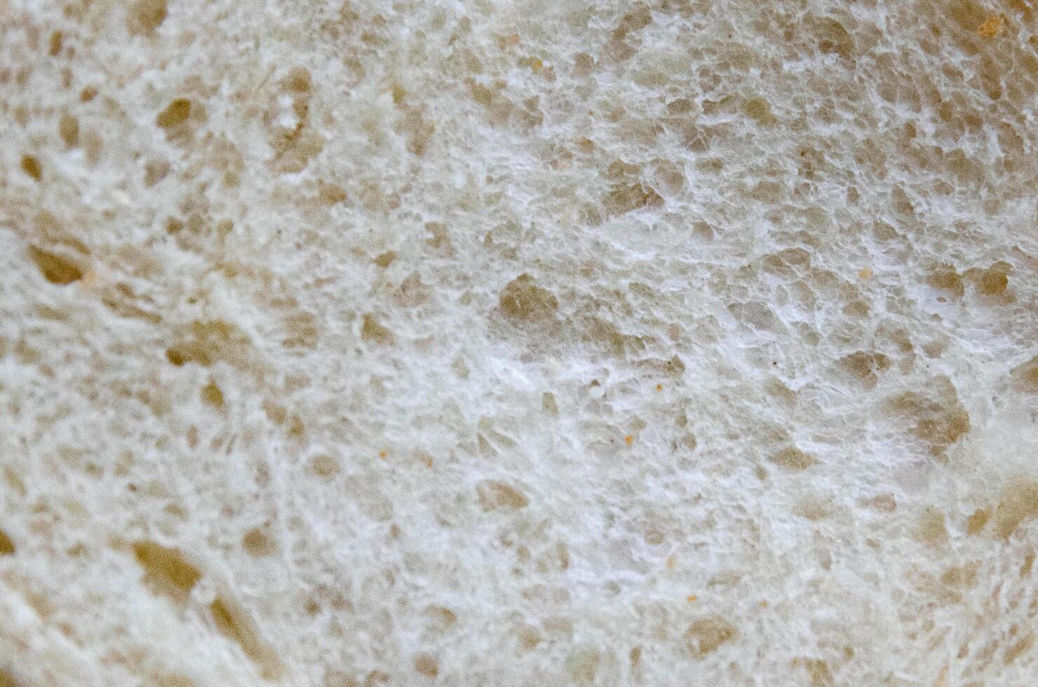 background, texture white as bread. background, texture white as bread. photo