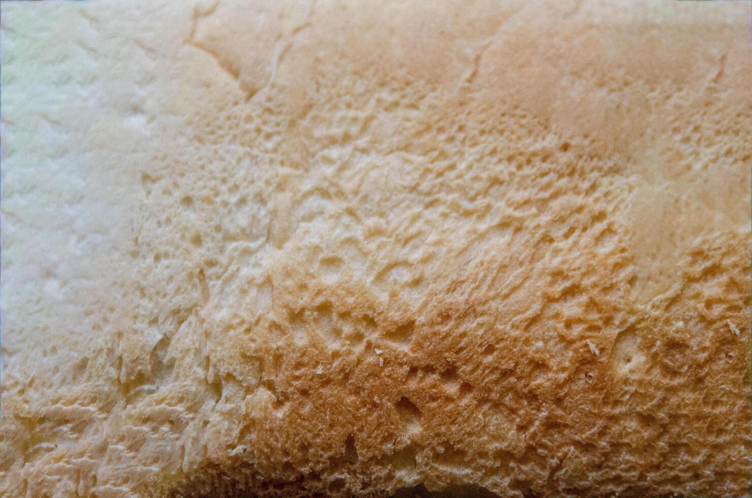 background, texture white as bread. background, texture white as bread. photo