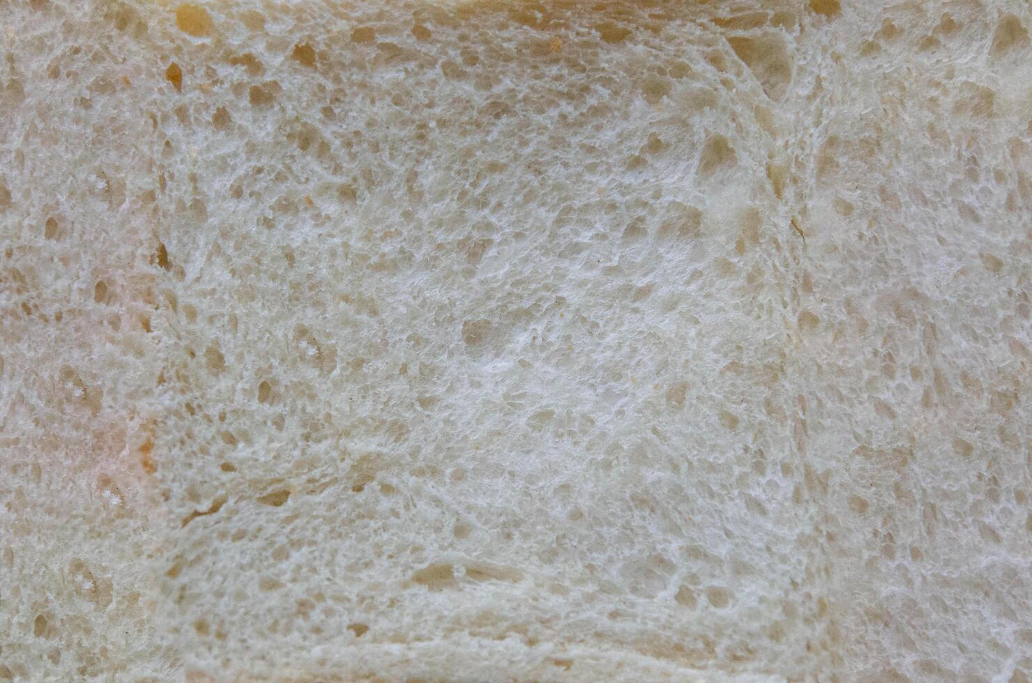 background, texture white as bread. background, texture white as bread. photo