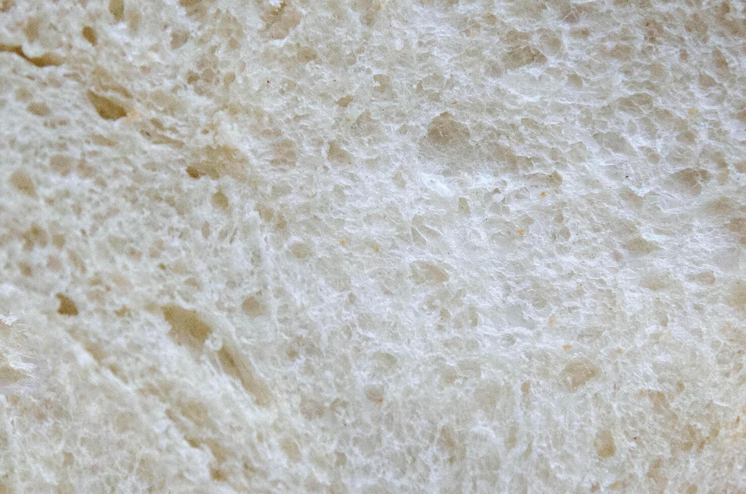 background, texture white as bread. background, texture white as bread. photo