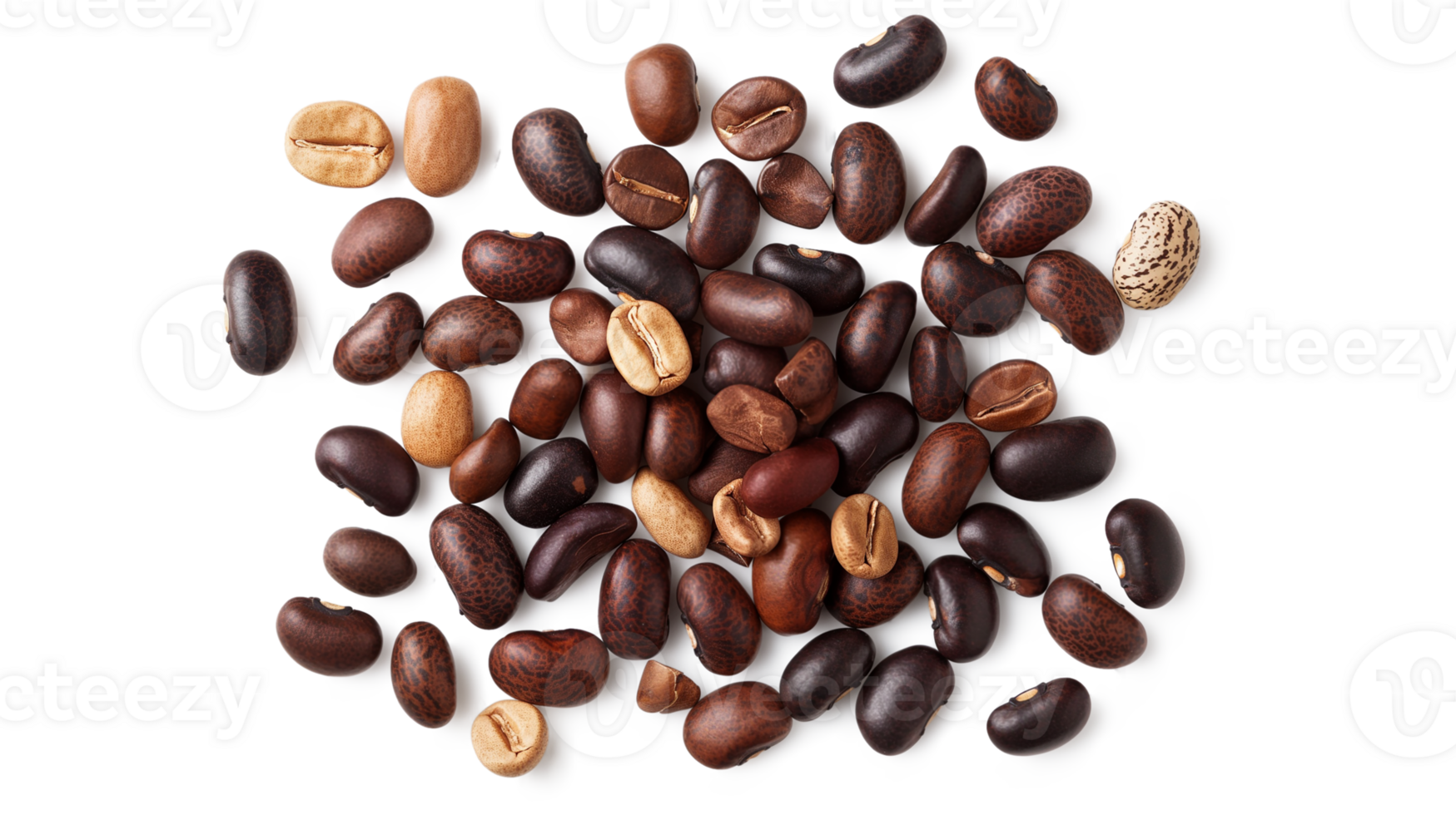 Beans variation shot from above isolated on a transparent background png