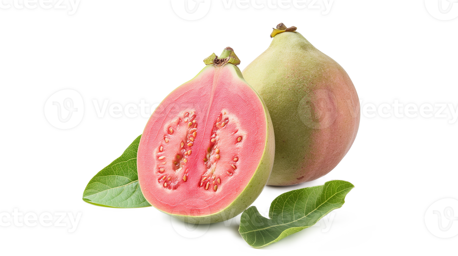 Guava isolated on a transparent background png