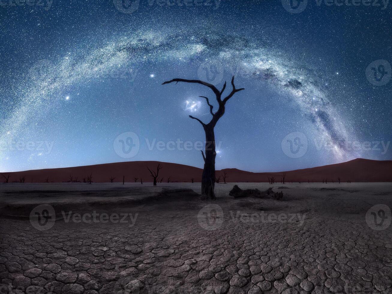Dead camelthorn trees Acacia erioloba in Deadvlei, behind huge red sand dune Daddy Dune, atmospheric in the morning light, Sossusvlei, Namib Desert, Namib-Naukluft National Park, Namibia, Africa photo