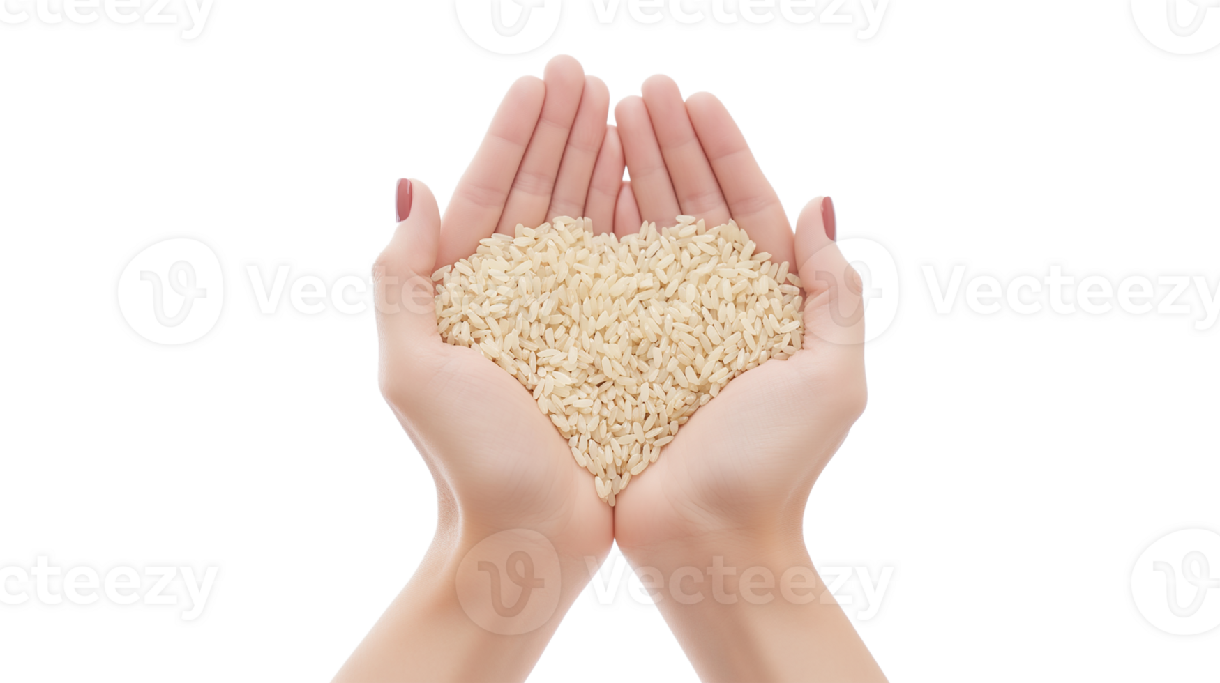 A person is holding a handful of rice in their hands isolated on a transparent background png