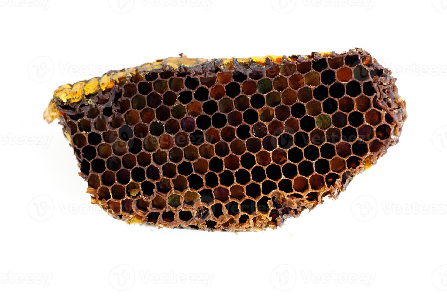 Bee pollen in honeycomb isolates. Bee pollen is a bee product from an apiary. photo