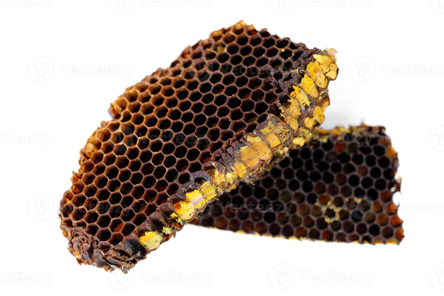 Bee pollen in honeycomb isolates. Bee pollen is a bee product from an apiary. photo