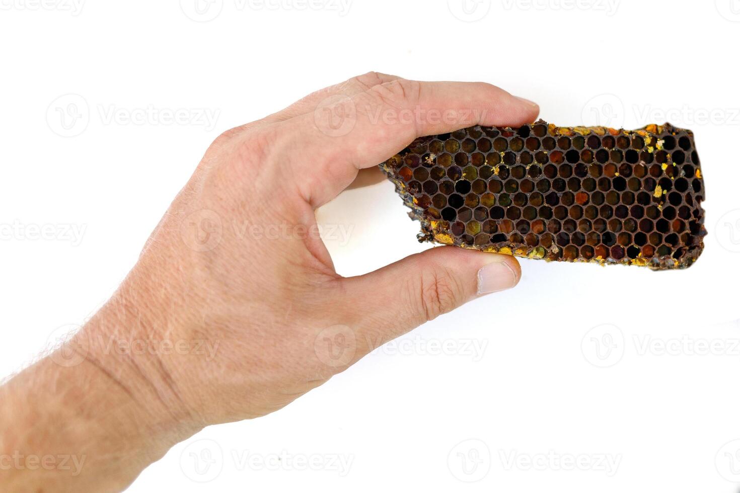 Bee pollen in honeycomb isolates. Bee pollen is a bee product from an apiary. photo