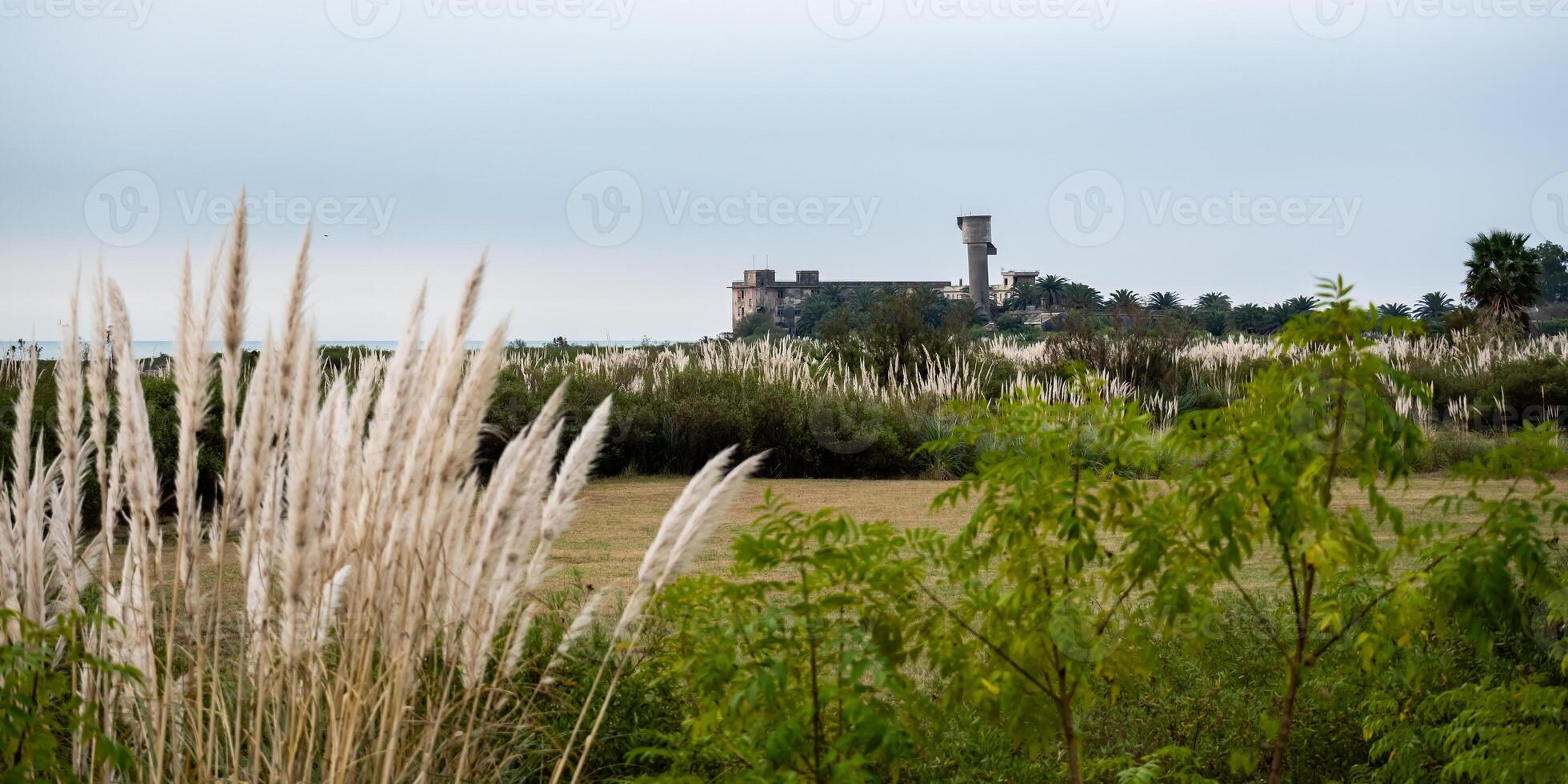 View from afar of the historic Grand Hotel Vienna Museum in Miramar, Argentina photo