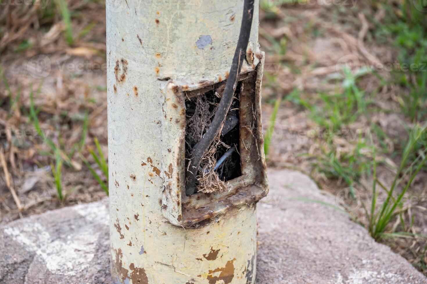 Light pole with dangerous cables exposed and in poor condition. Public electrical installation in poor condition. photo