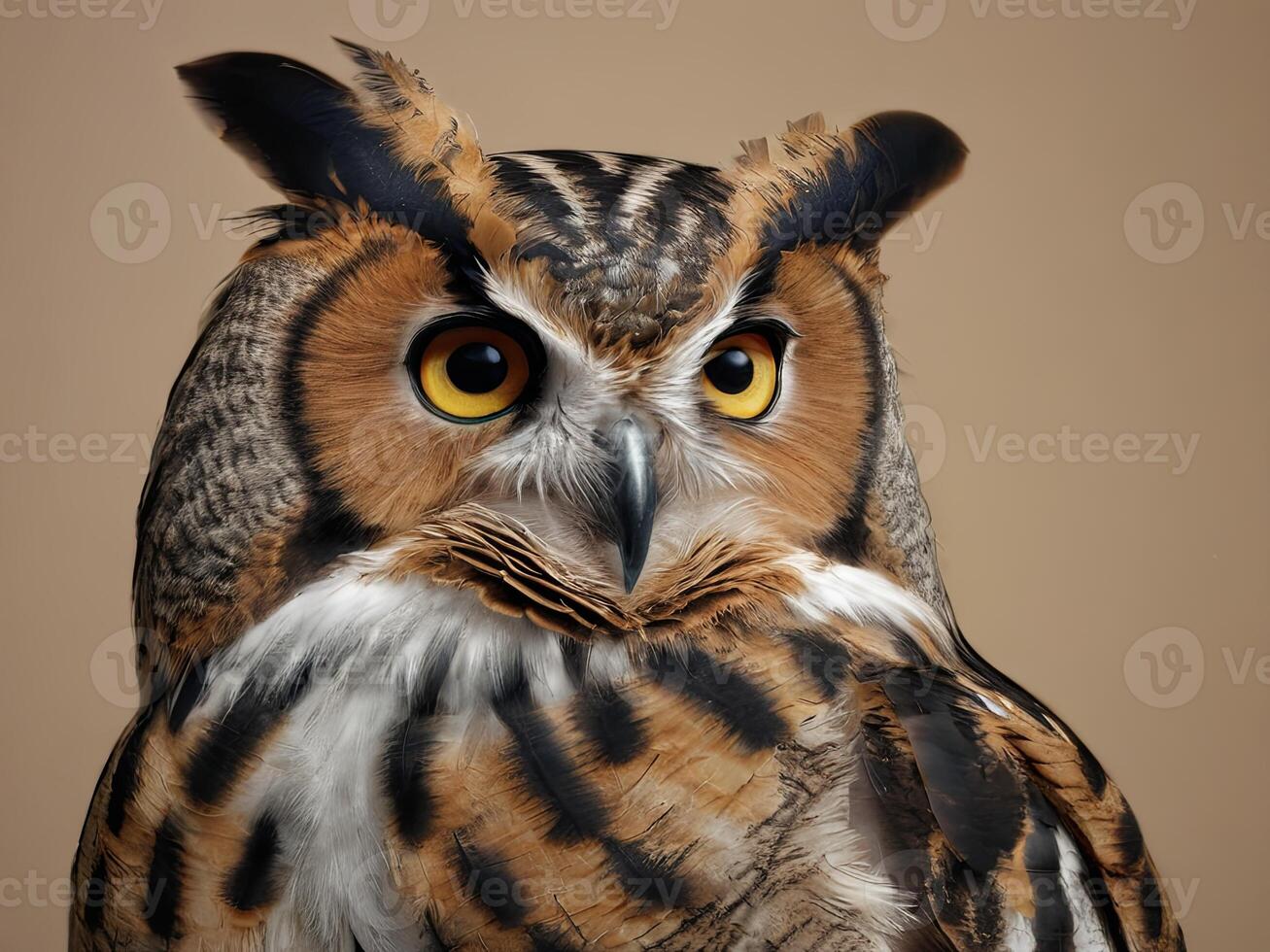 Close-Up Portrait of a Great Horned Owl with Intense Yellow Eyes photo