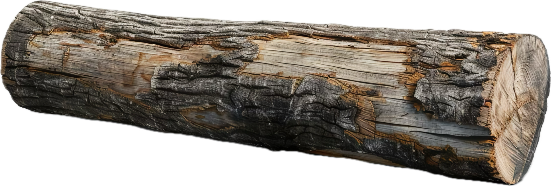 Weathered Tree Log with Bark png