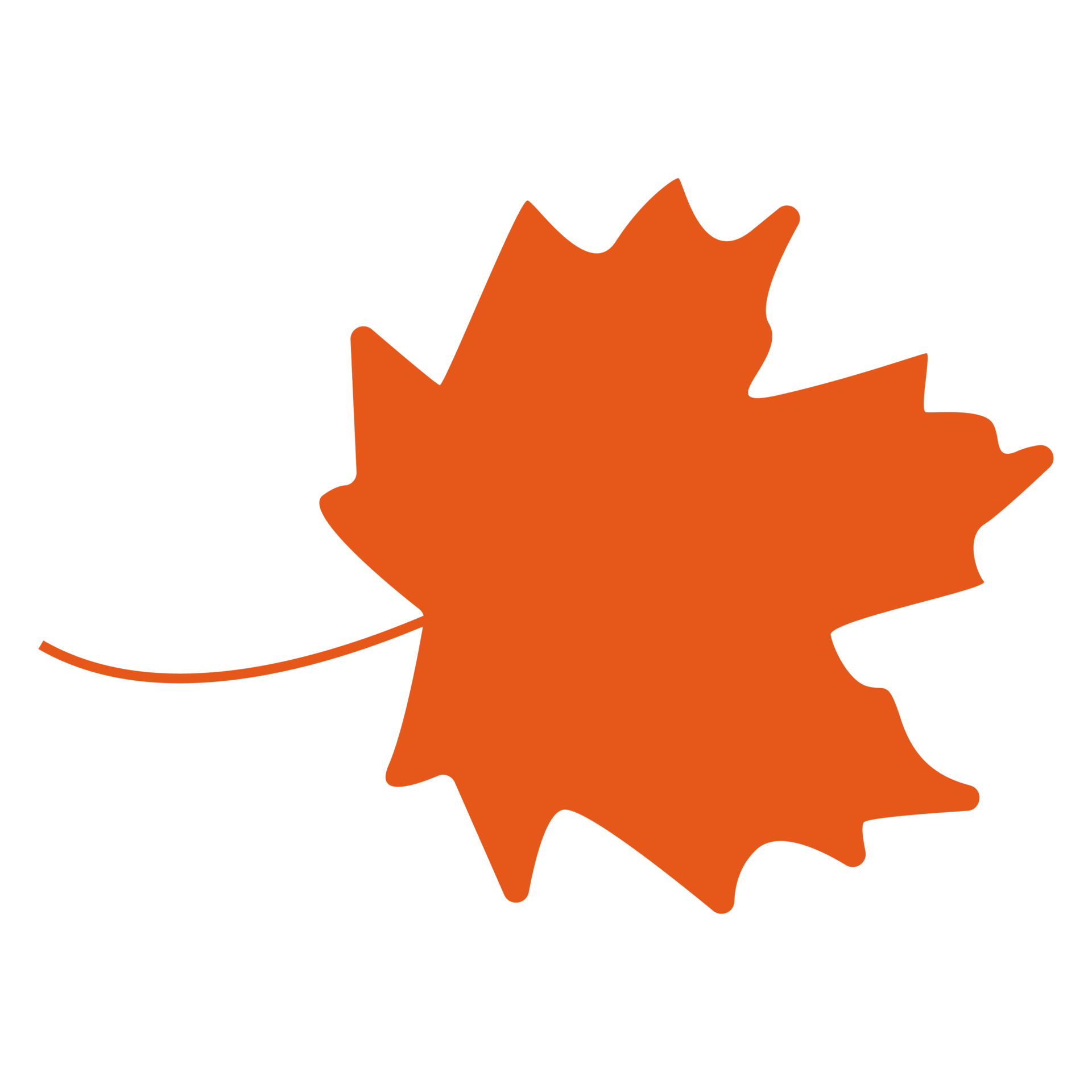 Orange leaf autumn leaf fall leaf for Halloween and fall clipart for
