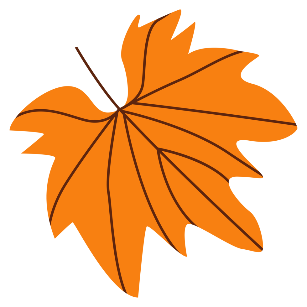Orange leaf with veins autumn leaf maple leaf fall clipart for diary and Halloween png