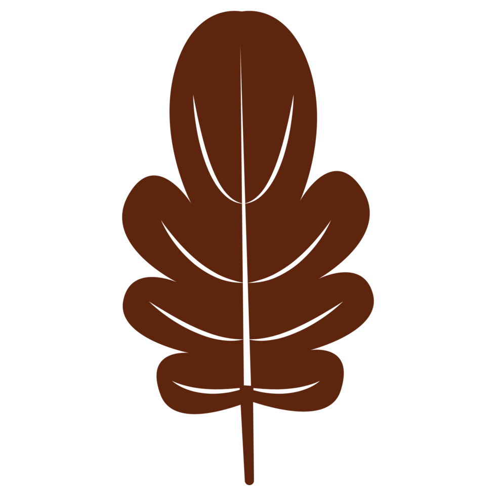 Fall leaf autumn leaf different shapes red orange brown leaf for diary clipart png