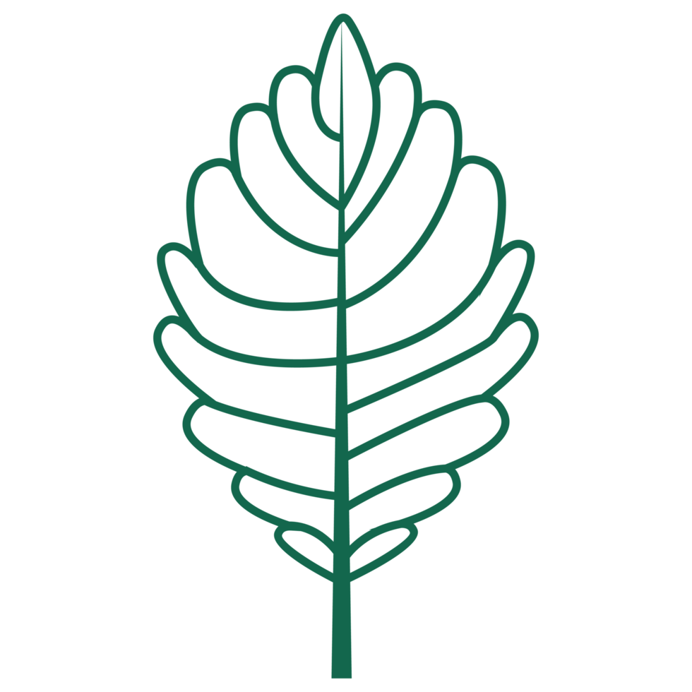 Green border leaf fall clipart green leaf only border leaf for Halloween and fall diary png
