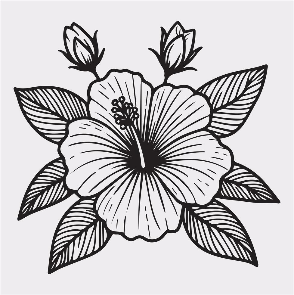 hibiscus flower line art silhouette on white background vector