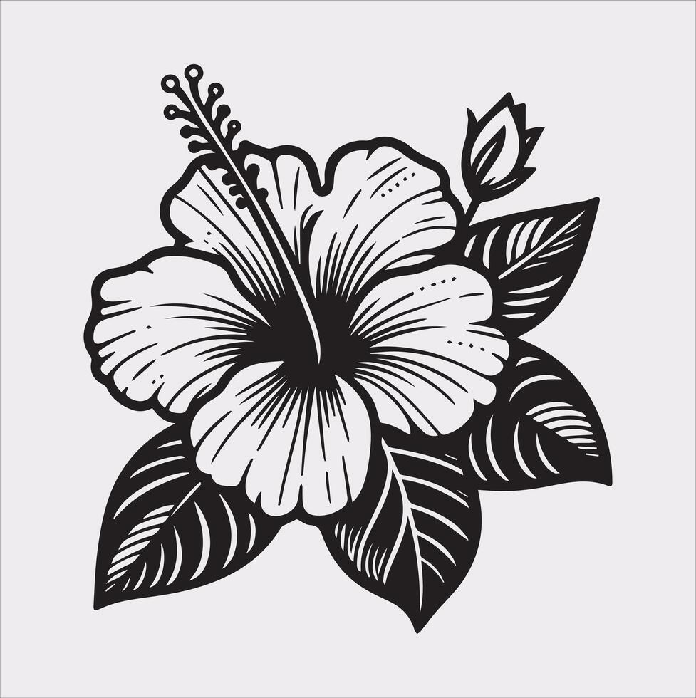 hibiscus flower line art silhouette on white background vector