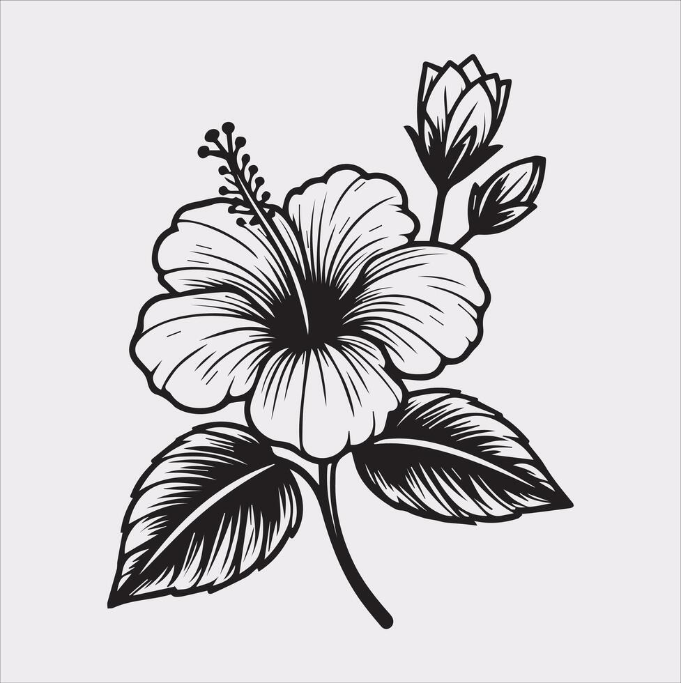 hibiscus flower line art silhouette on white background vector