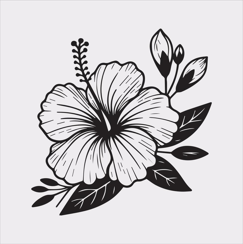 hibiscus flower line art silhouette on white background vector