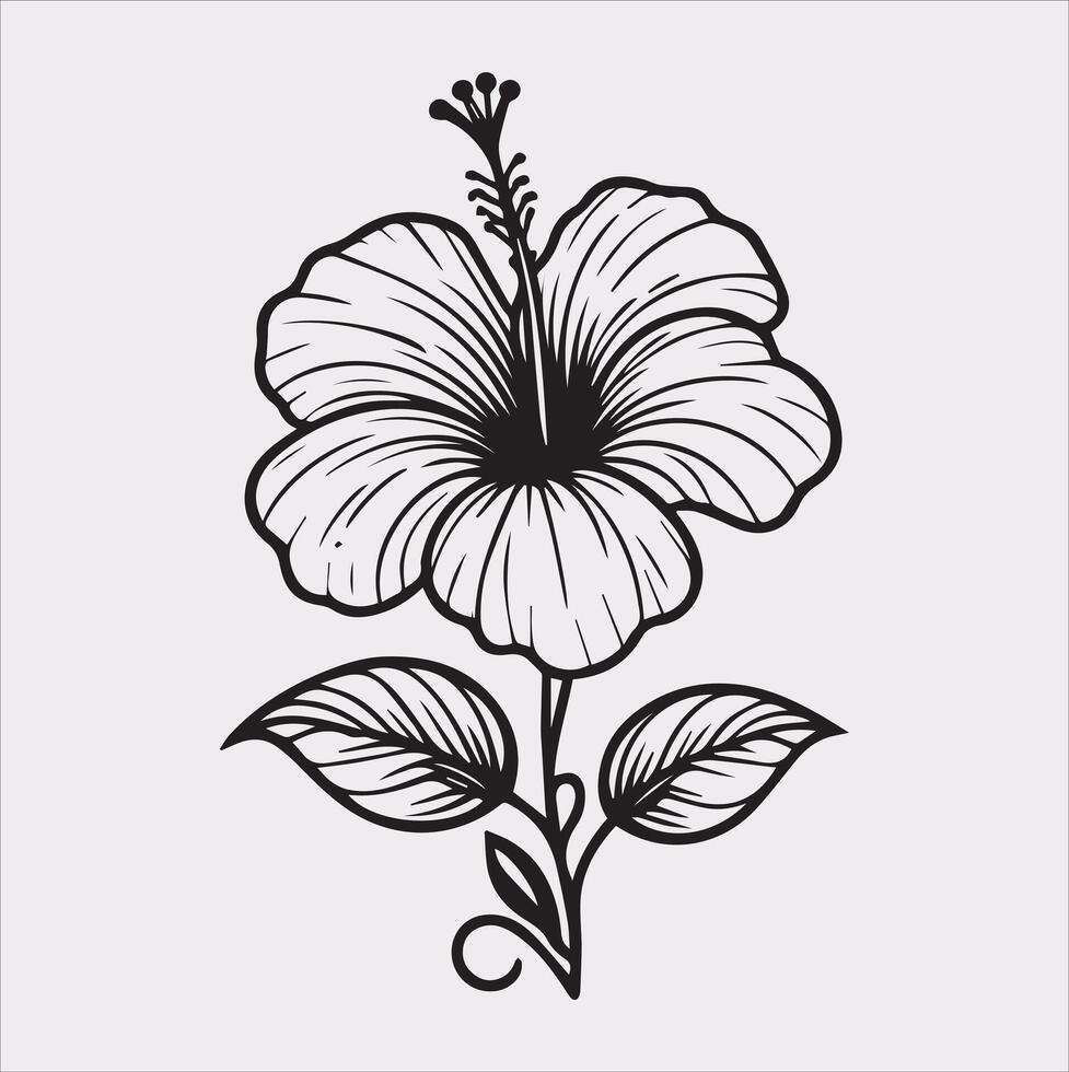 hibiscus flower line art silhouette on white background vector