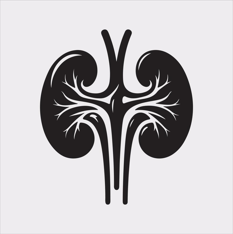 kidney silhouette on white background vector
