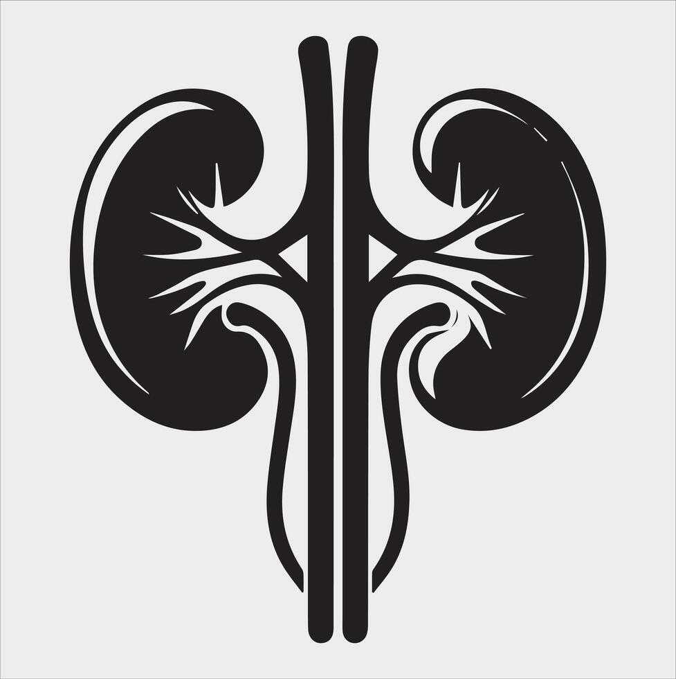 kidney silhouette on white background vector