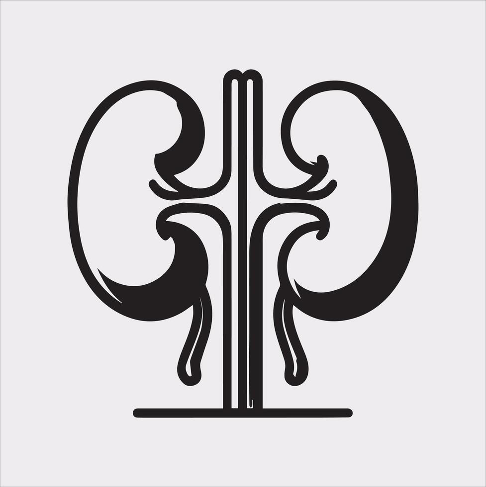 kidney silhouette on white background vector