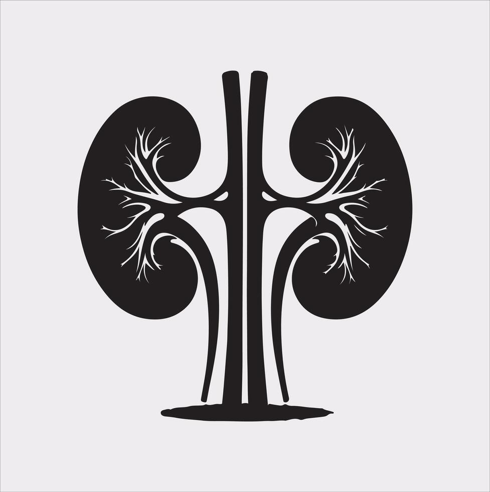 kidney silhouette on white background vector