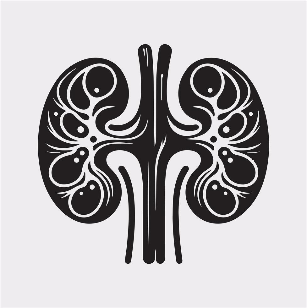 kidney silhouette on white background vector