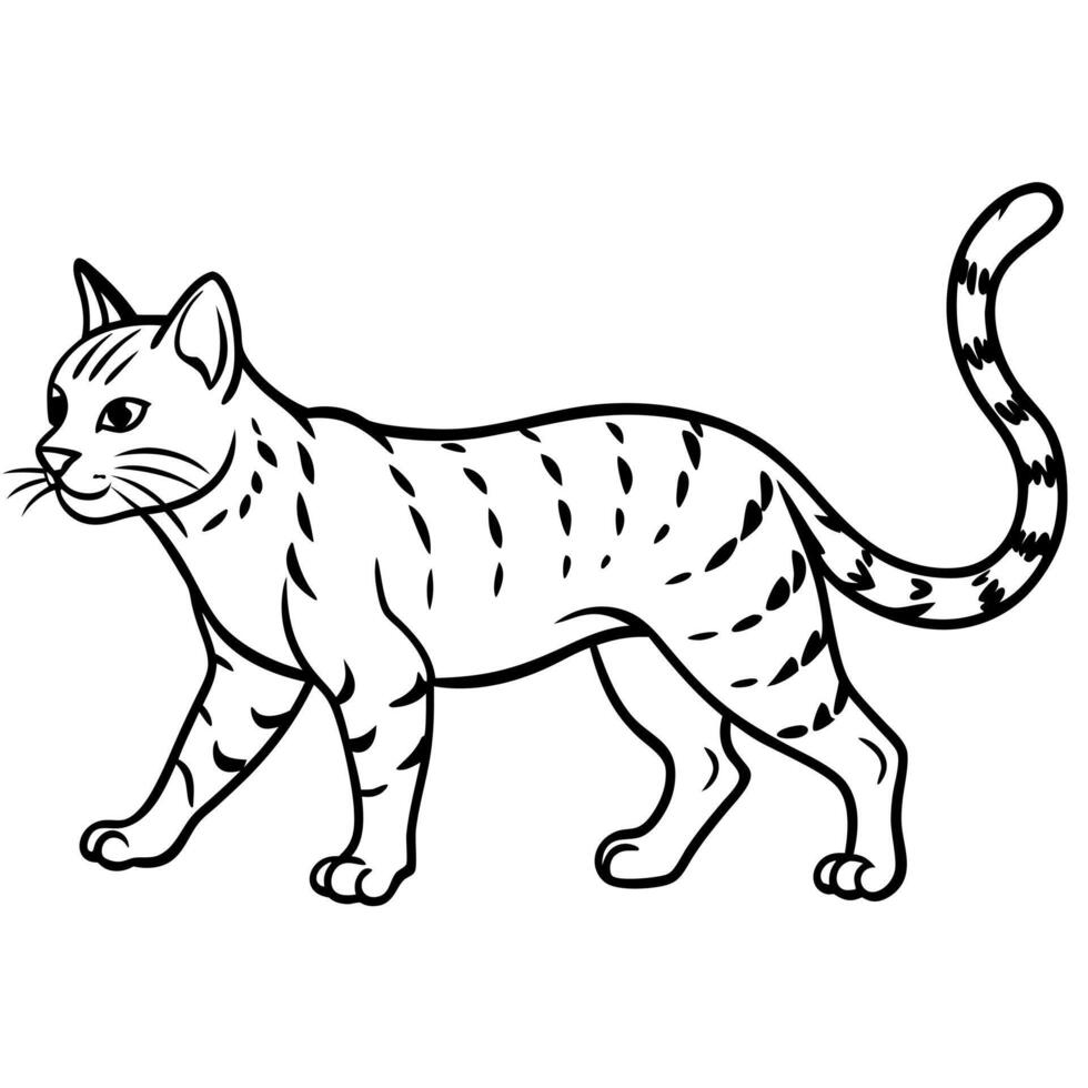 Fisher Cat play icon vector