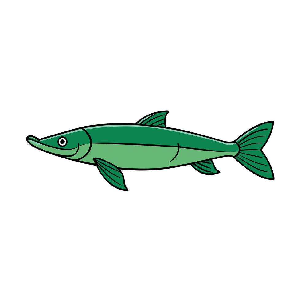 Florida Gar fish goes icon vector