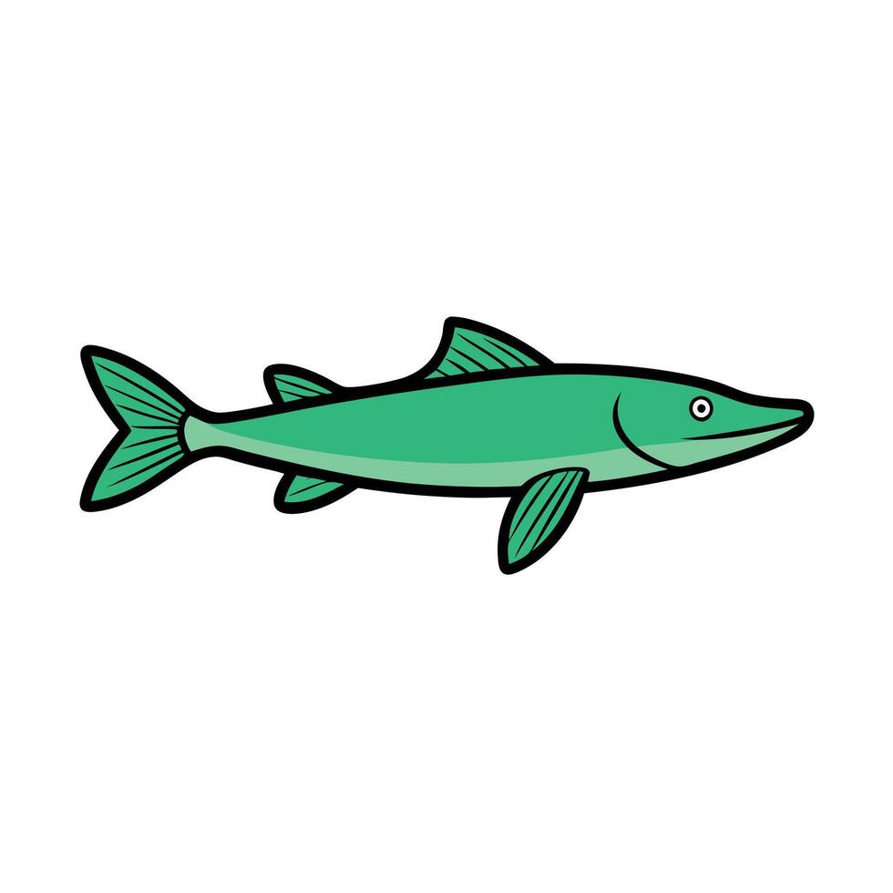 Florida Gar fish learns icon vector